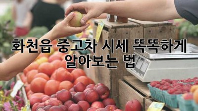 화천읍 중고차 시세, 똑똑하게 알아보는 법 🚗✨