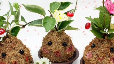 🌿 득템 찬스! 토피어리가습 솔직 후기 & 꿀팁 대방출! 💧